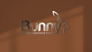 Bunny Việt Nam – Gia nhập lĩnh vực logistic